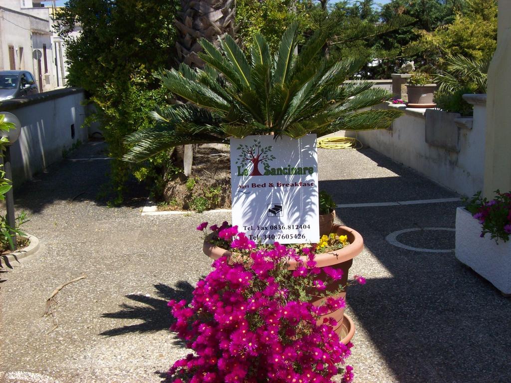Bed and Breakfast Otranto Le Sancinare Casamassella Экстерьер фото